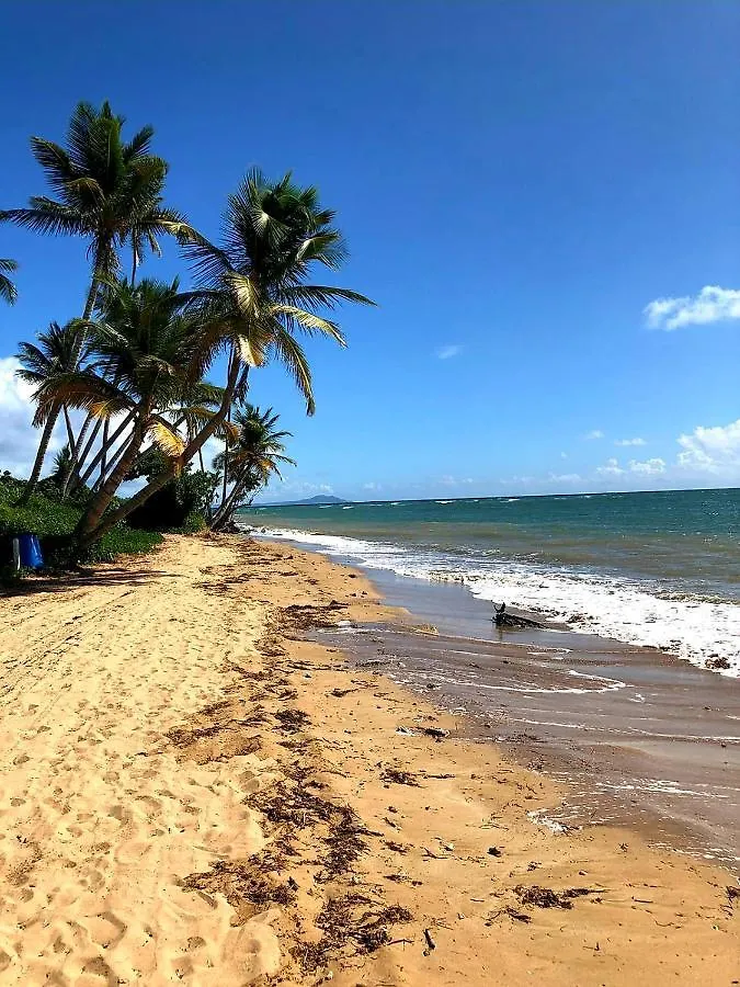 Mariposa Beach House Humacao 0*,  Puerto Rico